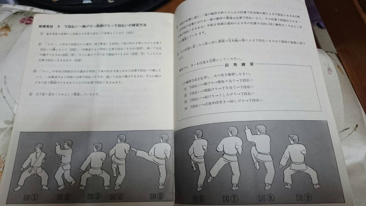 中年空手百条委員会 中年空手喜怒哀楽 中年空手百条委員会 中年空手喜怒哀楽