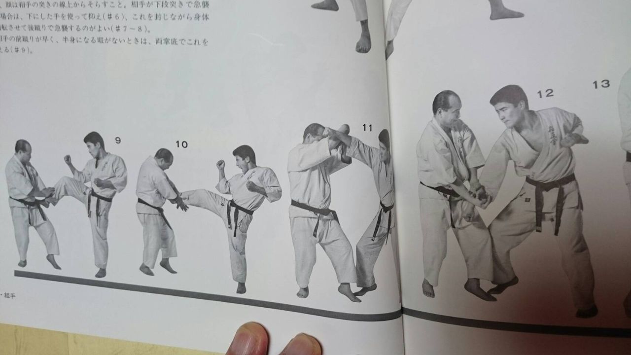 謎の技術書 続 秘伝極真空手 : 中年空手百条委員会