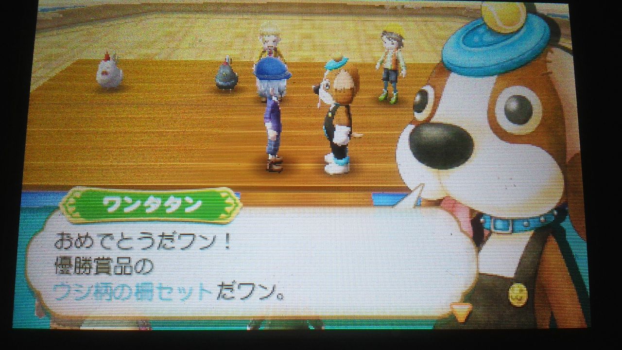 牧場物語つながる新天地 プレイ１４日目 時速2 5ｋｍ