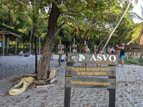 ASVO