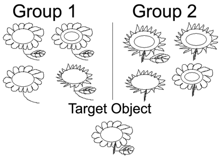 Nisbett Experiment 2