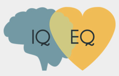 IQ vs EQ