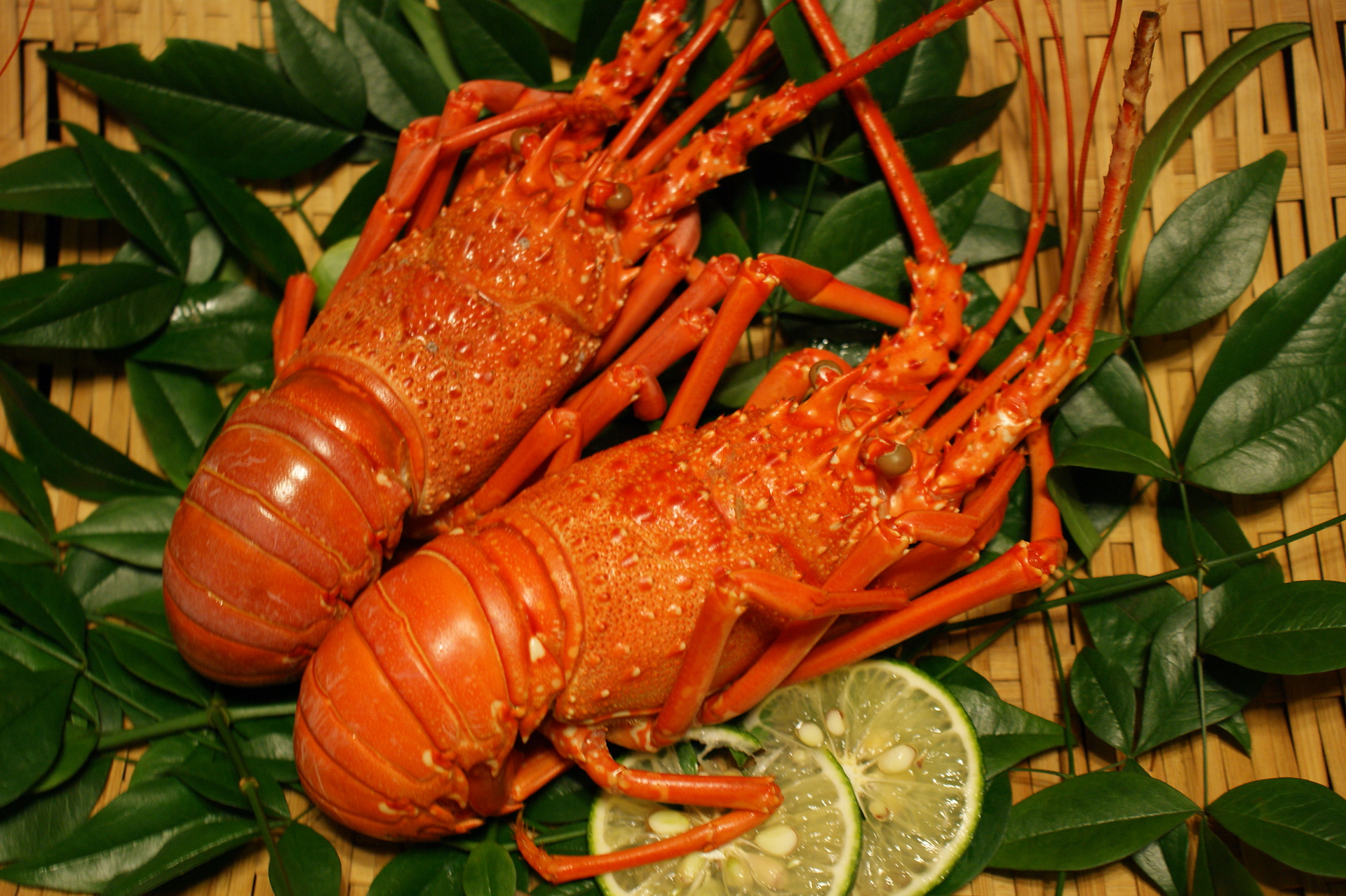 伊勢エビボイルの仕方 宮崎県特産品 キュラティフ カフェ