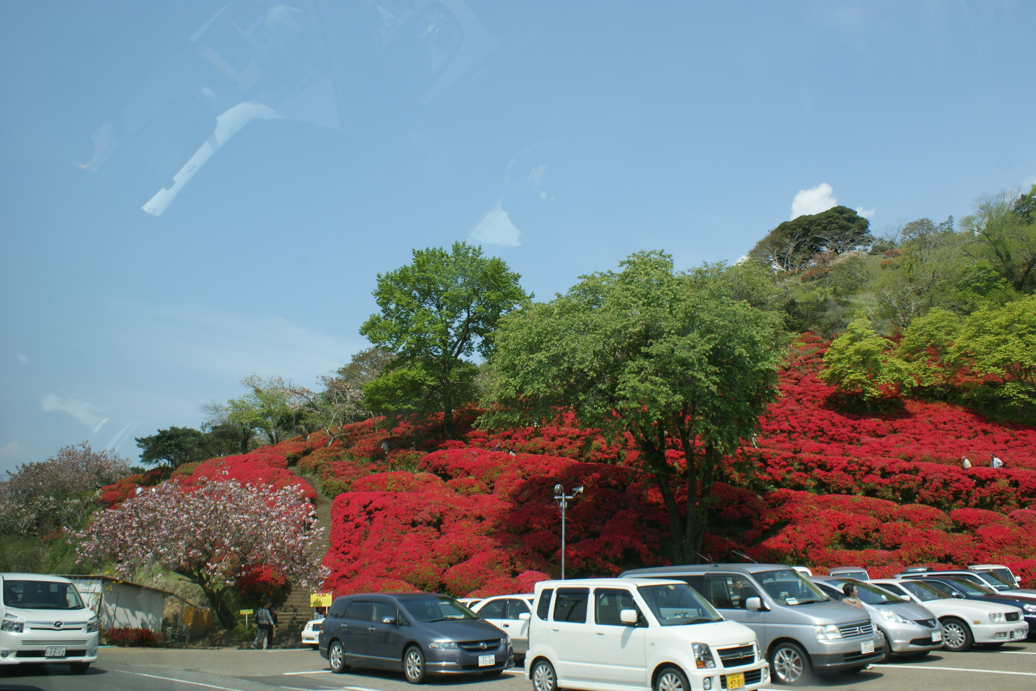 萩之茶屋南公園