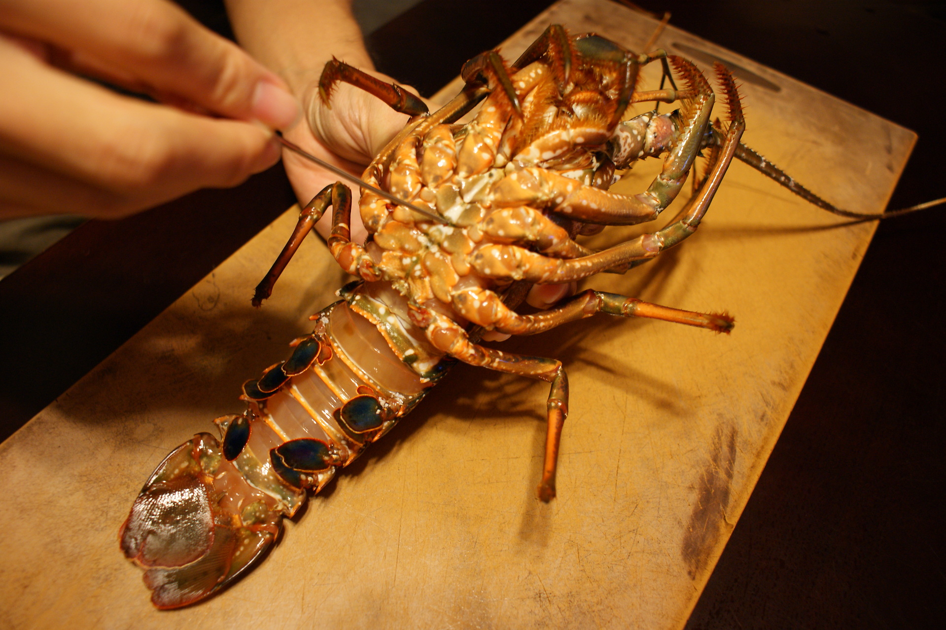 伊勢エビのさばき方 宮崎県特産品 キュラティフ カフェ