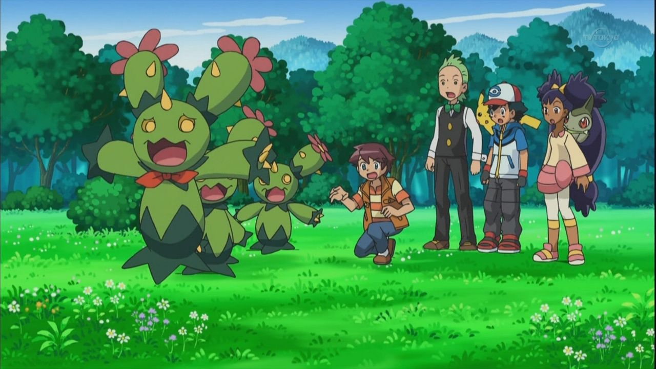 虹の彼方へ マラカッチでミュージカル 感想 花びら舞う時