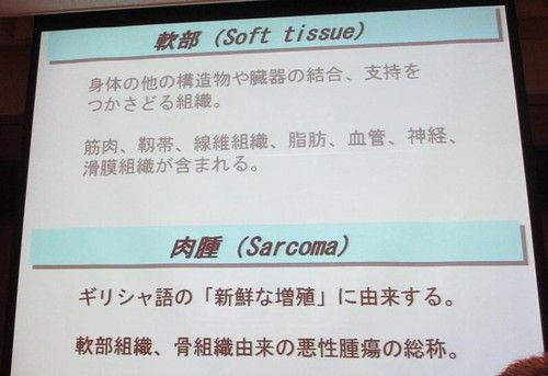 �����������ݣ�