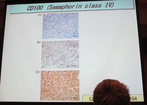 ��������34