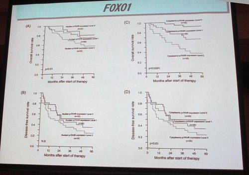 ��������31