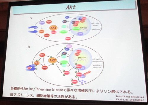 ��������23