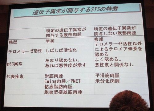 ��������44