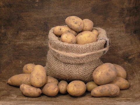  Kartoffel01