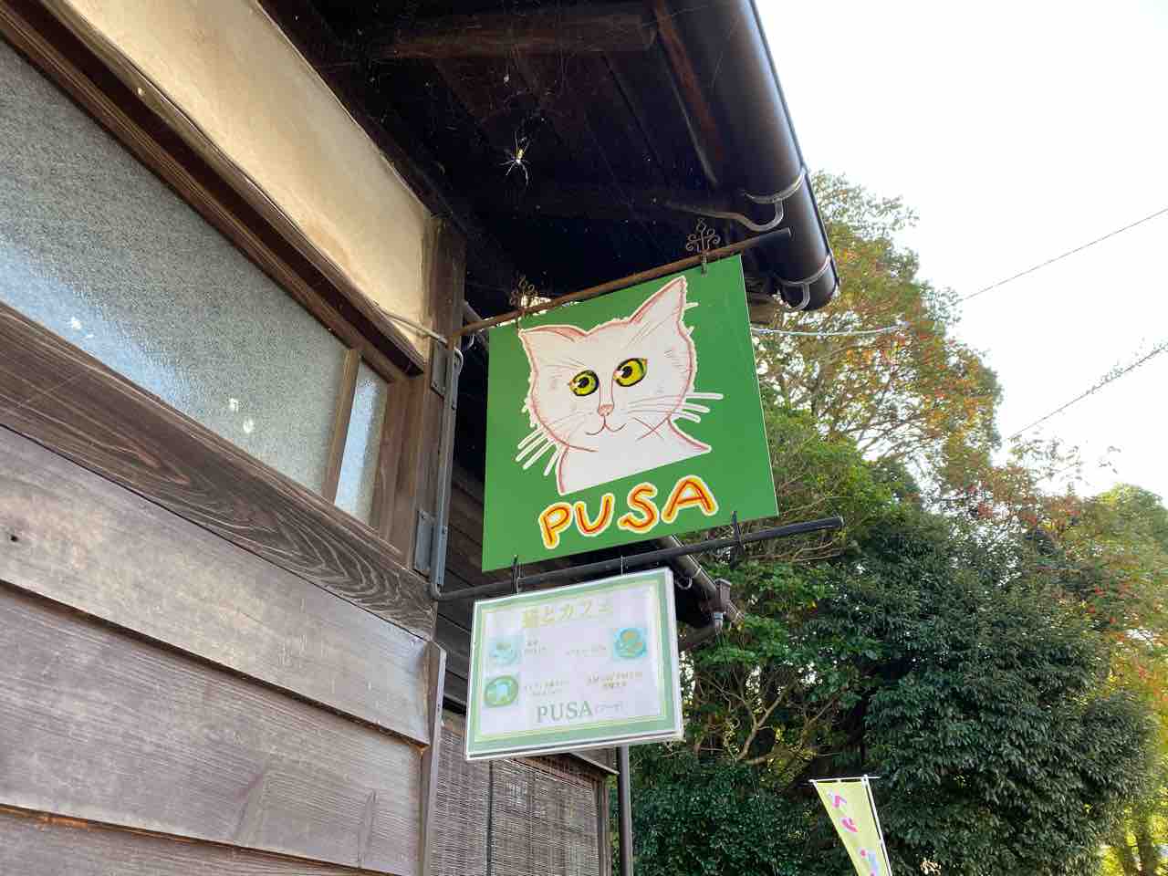 Cafe Pusa カフェ プサ 小倉 福岡 猫保護施設に併設するカフェで現地スタイルのスリランカ料理の数々 北九州の富野で味わえるスリランカ カレー ホッパー カフェpusa 大阪 福岡カレーステーション