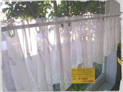 IMG00520_20130625093759382