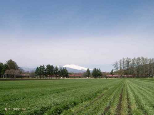 長野支場