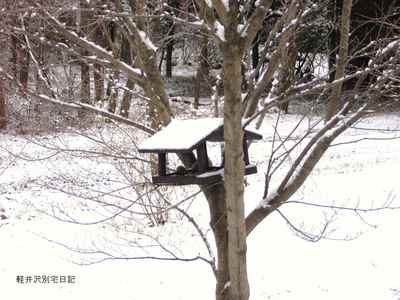 雪の朝