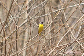 120415DSC_0917