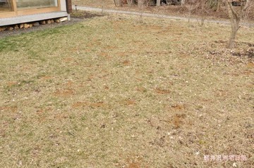 120415DSC_0972