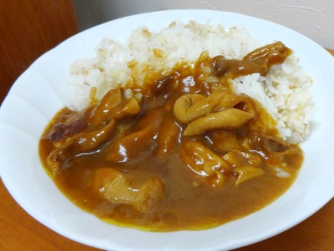 清水港のもつカレーゴールド　盛り付け①