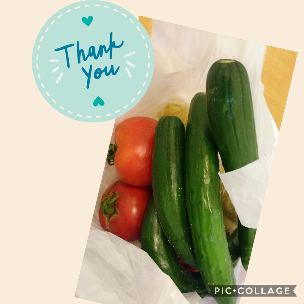 Collage 2019-08-0919_28_45