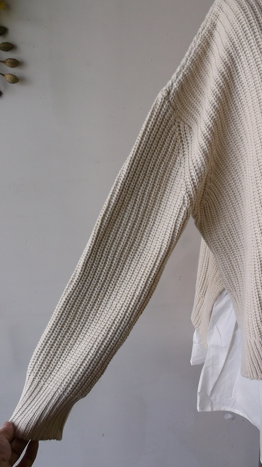 DSCF0789