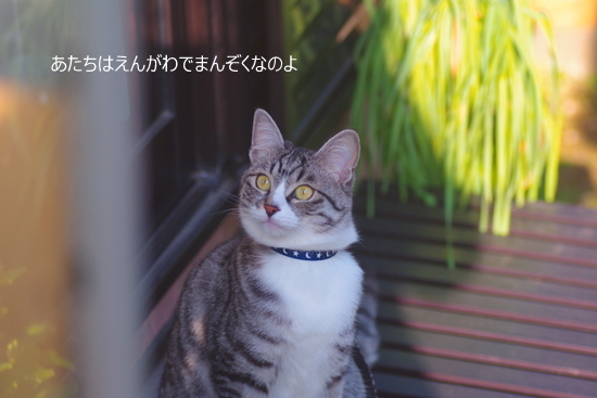 IMGP5385-001