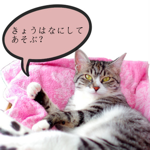 1-はなdd