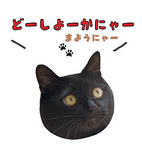 ブログ用4