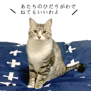 1-MITUYUBI