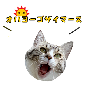ブログ用1