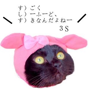 1-usagi-001