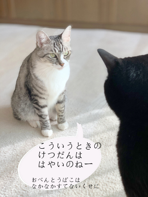 1-dfuki