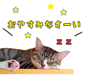ブログ用3