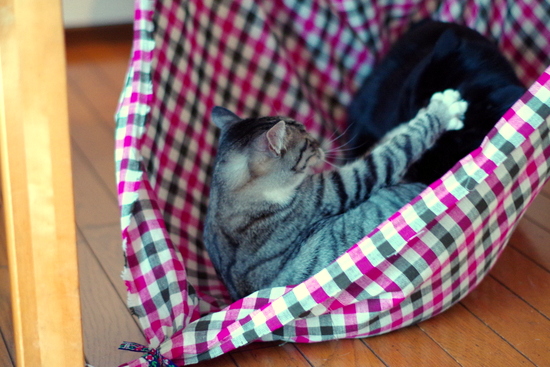 IMGP1632-001