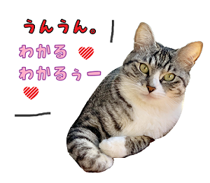 ブログ用2
