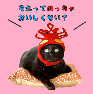 5ブログ用