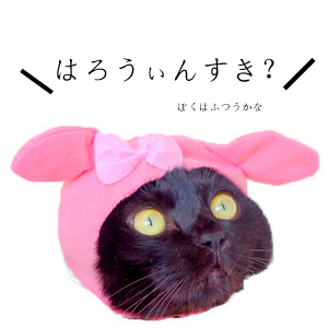 1-usagi-002