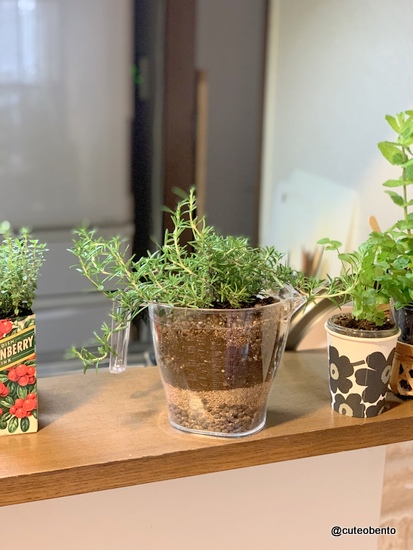 海外の牛乳パックでキッチンハーブ きょうのおべんとう Powered By ライブドアブログ