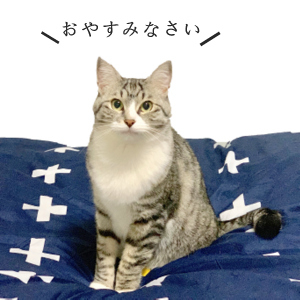 1-MITUYUBI-001