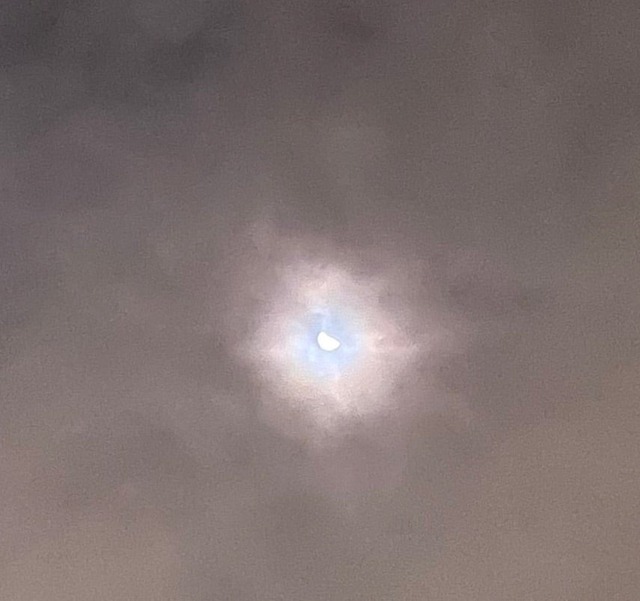 o0855080315341005495