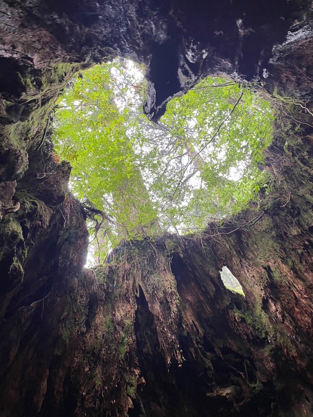 o1080144015325257946