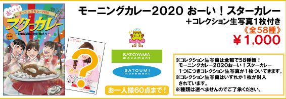 20200320up_hinafes_A4-Dマガ-カレーディスプレイ(再修正版)