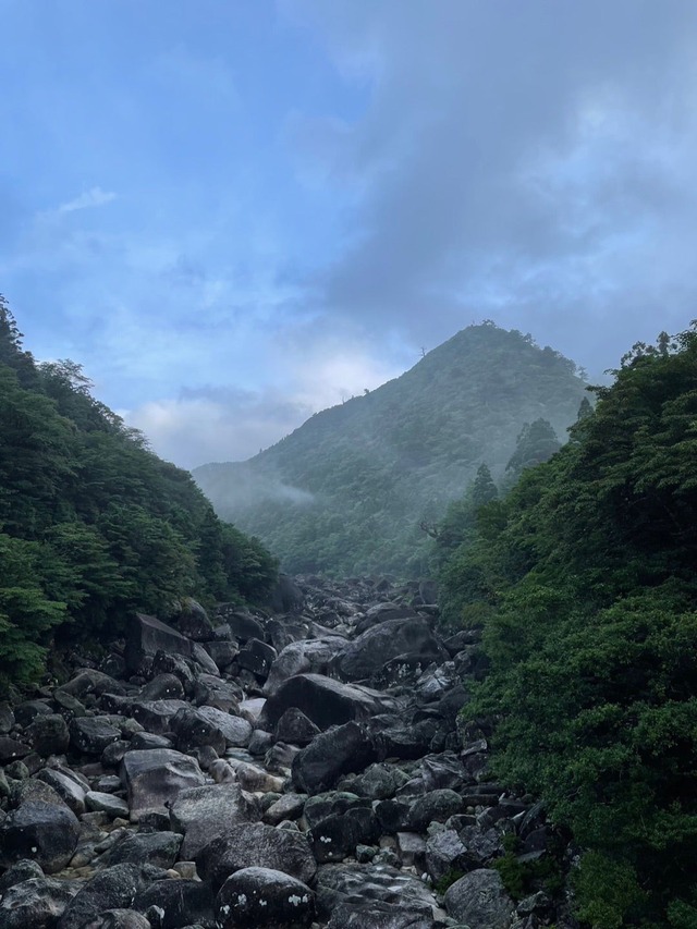 o1080144015320594816