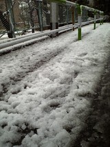 0203_tokyou_snow.jpg