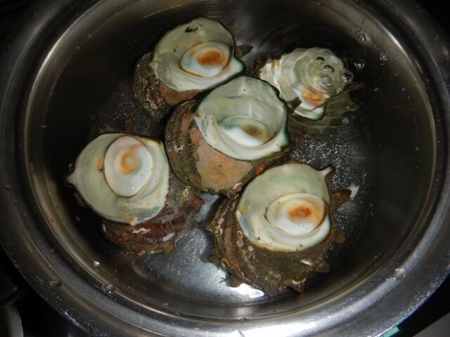 サザエを茹でる 都心から郊外へ9