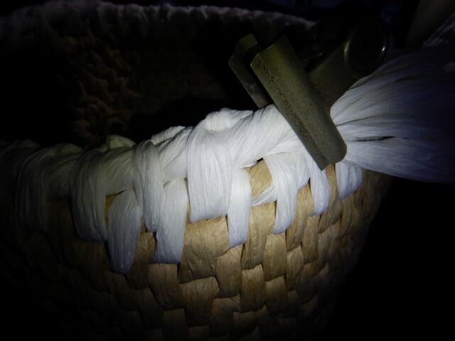 犬ちぐら 10日目 都心から郊外へ9