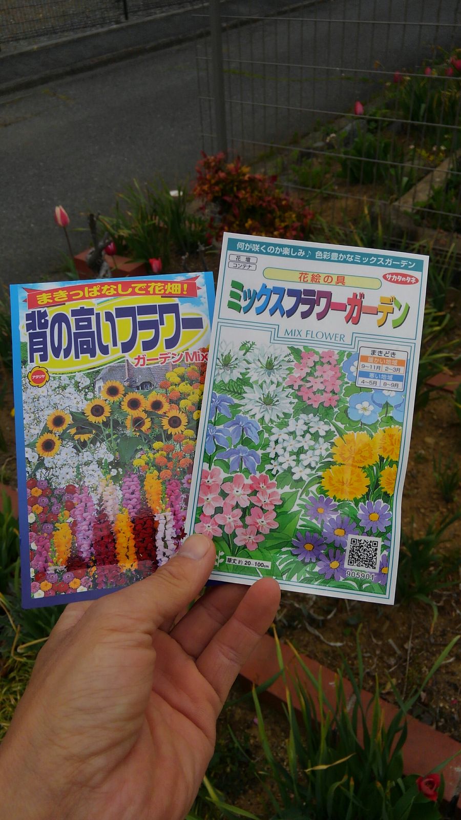 花の種 ４月５日 都心から郊外へ9