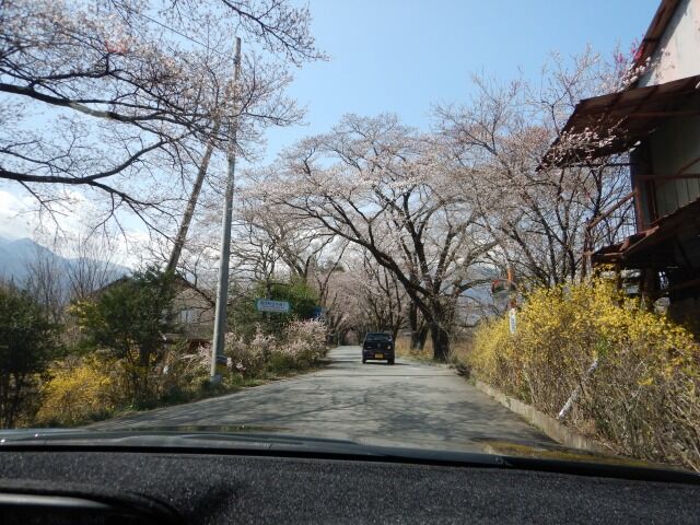 北杜市 眞原桜並木 都心から郊外へ8 北杜市 眞原桜並木 都心から郊外へ8