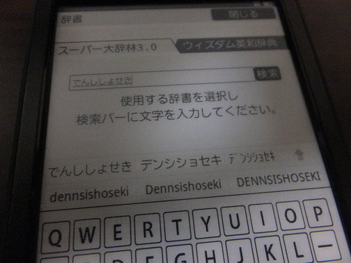 DSCF5307