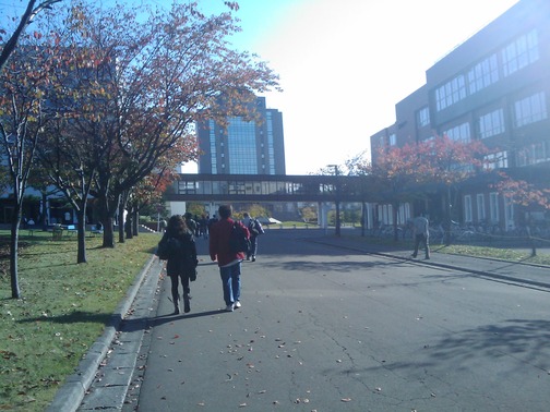 IMAGE_007
